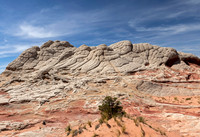 White Pocket, AZ 1169
