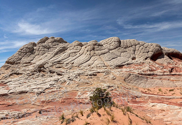 White Pocket, AZ 1169