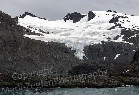 Drygalski Fjord Glacier 4 South Georgia 0558