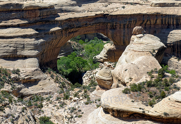 Natural Bridge 1304