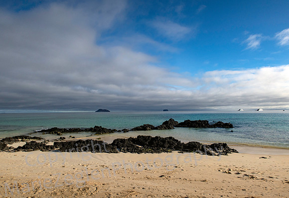 Galapagos Bachas Beach Goodbye 2029
