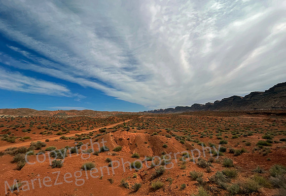 Comb Ridge 3126