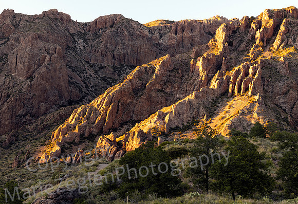 Big Bend Chisos Mountains Layers of Color at Sunset 9524