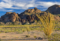 Big Bend Mountain with Ocotillo 5150