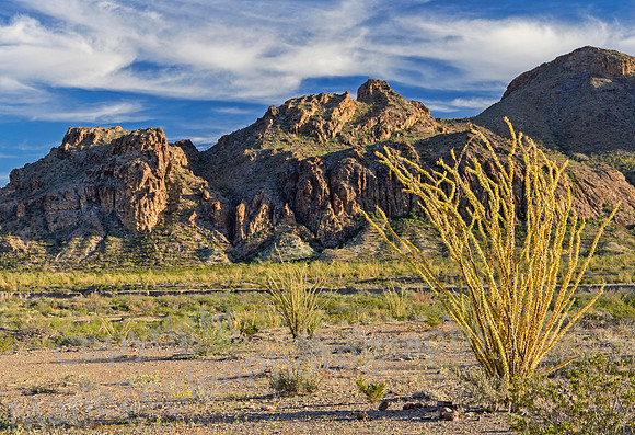 Big Bend Mountain with Ocotillo 5150