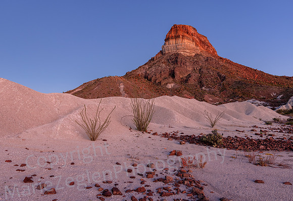 Big Bend Burro Mesa Area Pink Sunset 4674