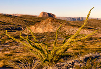 Big Bend Mountains Thru Ocotillo 5306