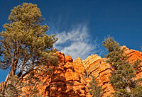 Red Canyon Ciffs