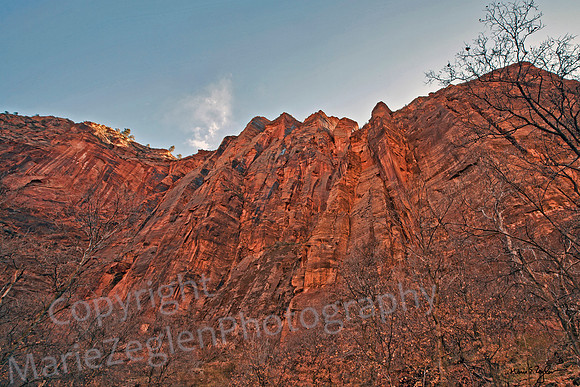 Zion Red Rock Cliffs