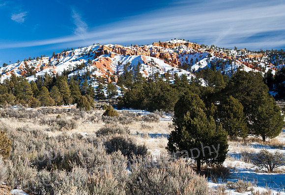 Red Canyon Valley