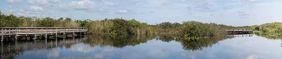Everglades NP Anhinga Trail