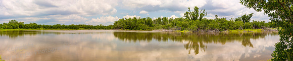 Everglades NP Eco Pond