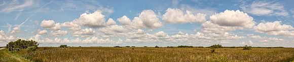 Everglades NP Marl Prairie