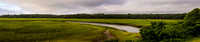 Heckscher Drive Verdant Marsh