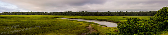 Heckscher Drive Verdant Marsh