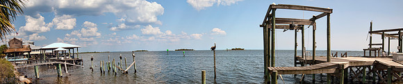 Horseshoe Beach Pelicans