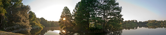Lake Alice Sun Through Trees