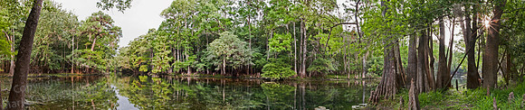 Manatee Springs Launch