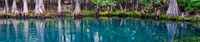 Manatee Springs Pool