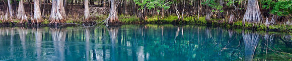 Manatee Springs Pool