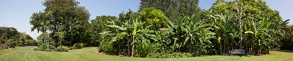 Fairchild G Palm Bench
