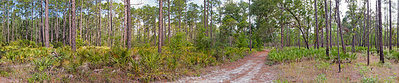 Morningside Nature Path