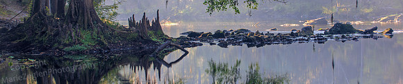 Oleno SP Reflections