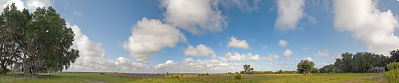 Paynes Prairie Puffy Clouds