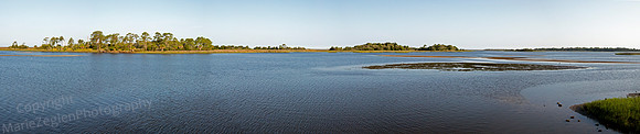 L Suwannee Shell Mound E