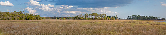 Shell Mound  Marsh