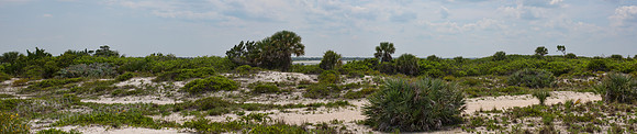 Smyrna Dunes Park Path