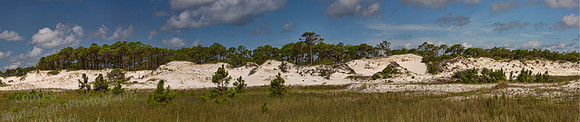 St George Island Massive Dunes