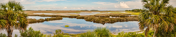 St Marks NWR Marsh Vista