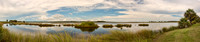 St Marks NWR  Mound Pond