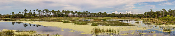 St Marks NWR Picnic Pond