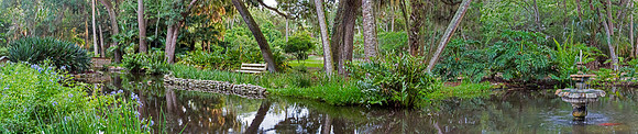 Washington Oaks Bench