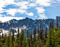 Cascades and Pines