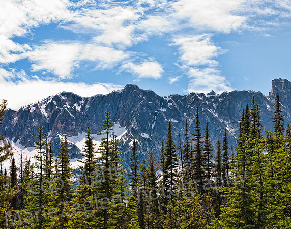 Cascades and Pines