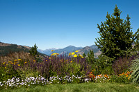 Sun Valley