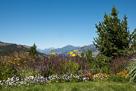 Sun Valley