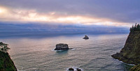 Oregon Fog Bank