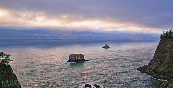 Oregon Fog Bank