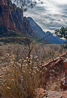 Zion Canyon View