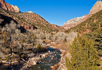 Zion Waterfall View