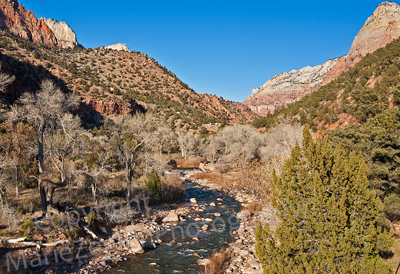 Zion Waterfall View