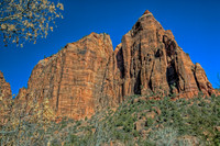 Zion Rock Ledges
