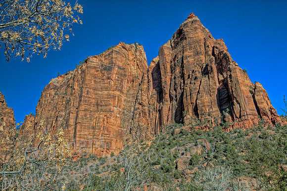 Zion Rock Ledges