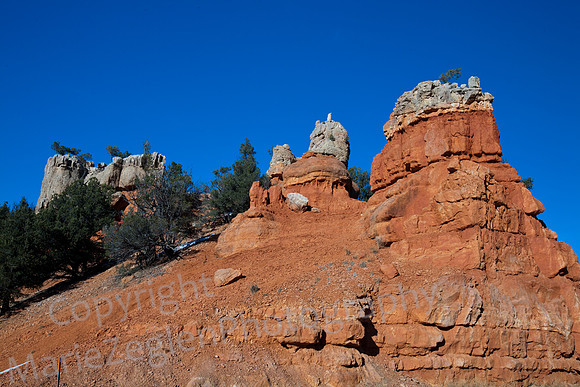 Red Canyon View