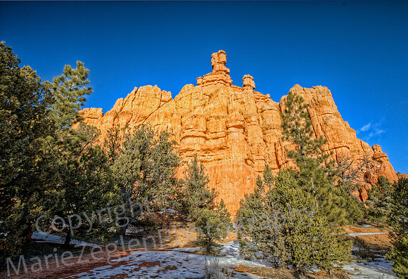 Red Canyon Yellow Cliffs