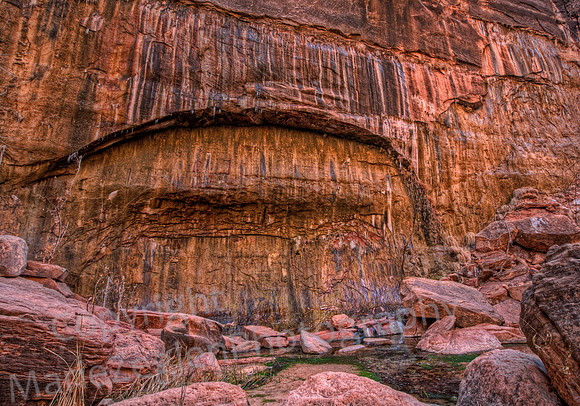 Zion Red Arch